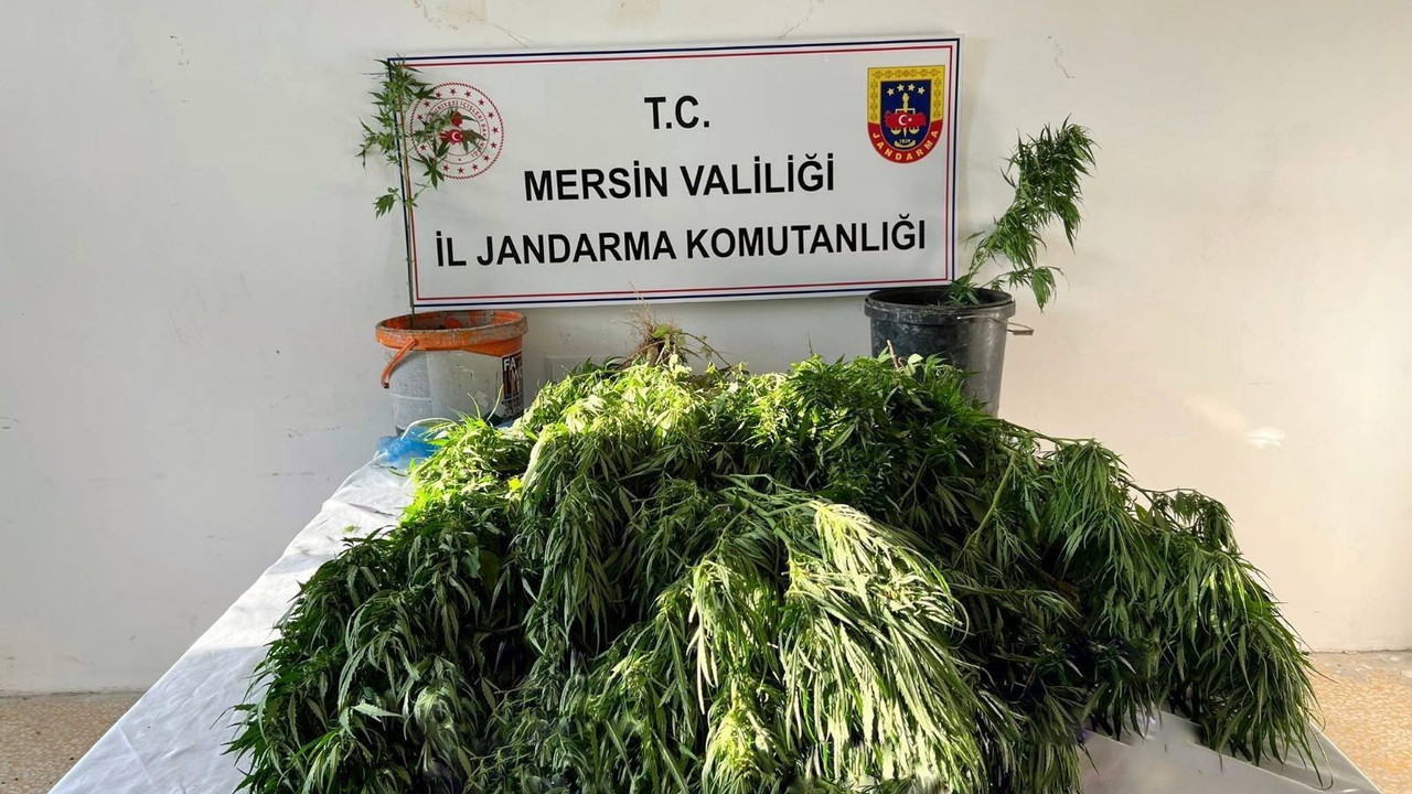 Mersin'de uyuşturucu operasyonu: 3 gözaltı
