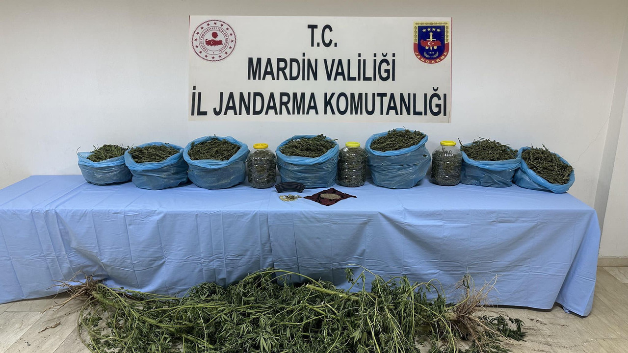 Mardin'de uyuşturucu operasyonu: 1 tutuklama