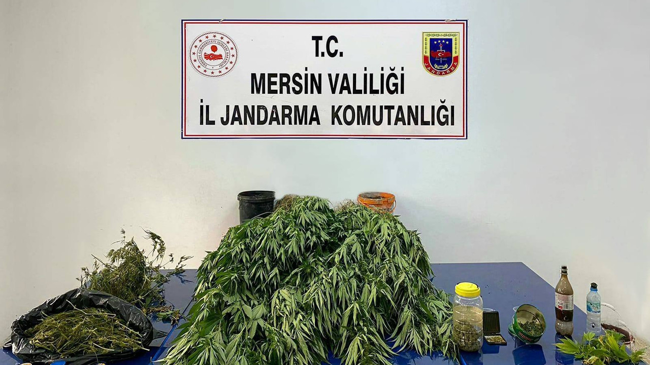 Mersin'de uyuşturucu operasyonunda kök kenevir esrar ele geçirildi