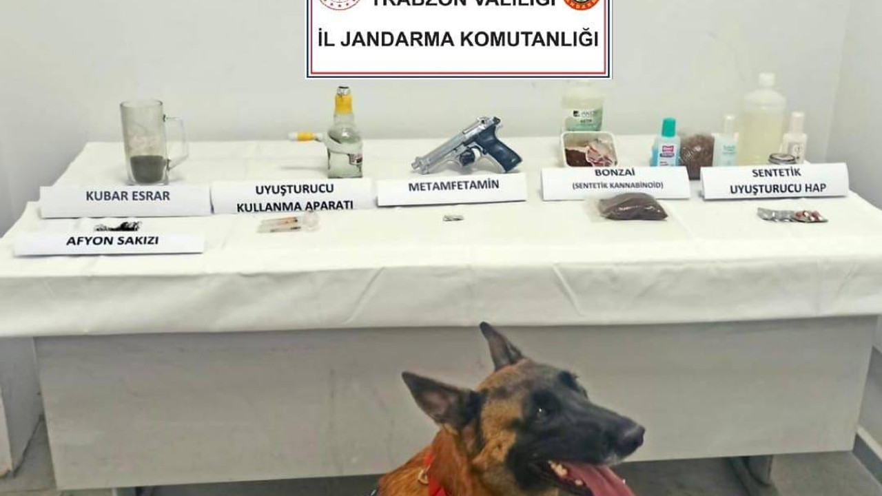 Zehir tacirleri 'Limon'a takıldı: İlk operasyonunda tespit etti