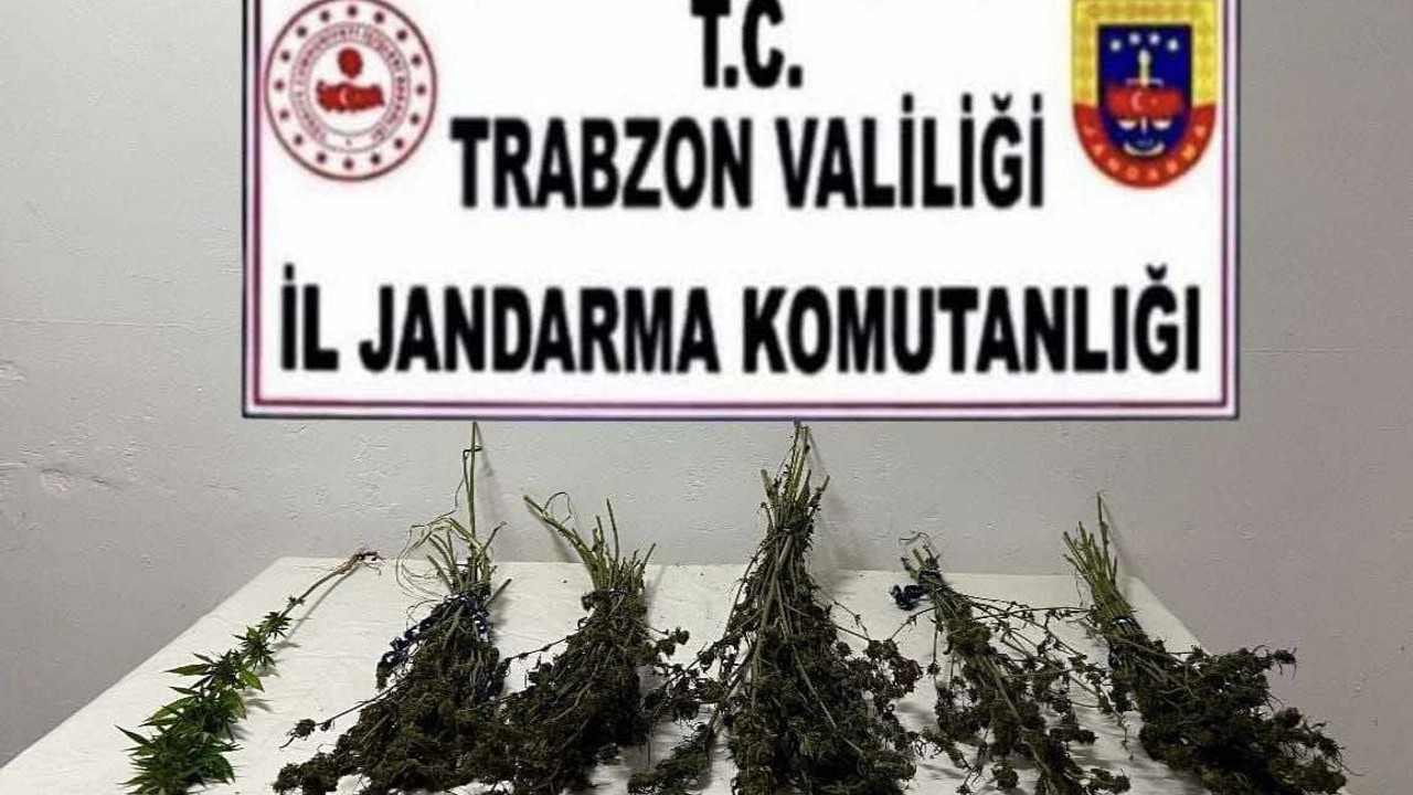 Trabzon'da uyuşturucu operasyonu: 2 gözaltı