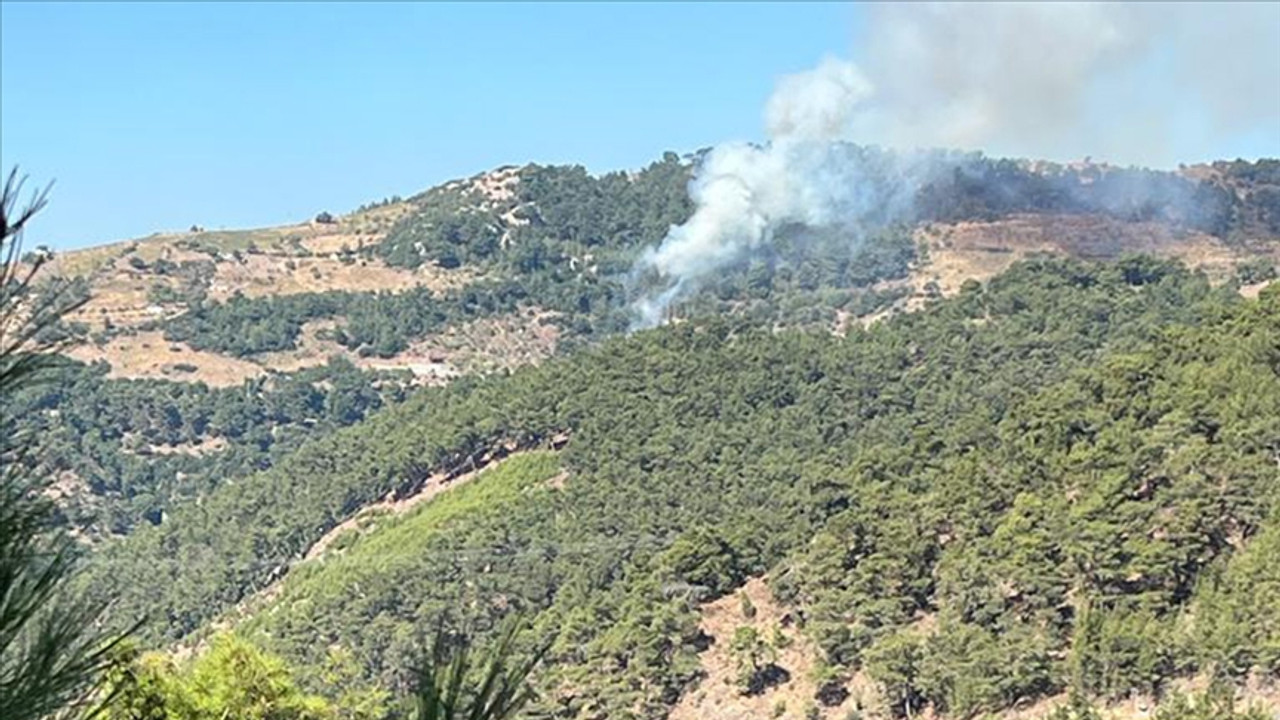 Muğla Dalaman'da korkutan orman yangını