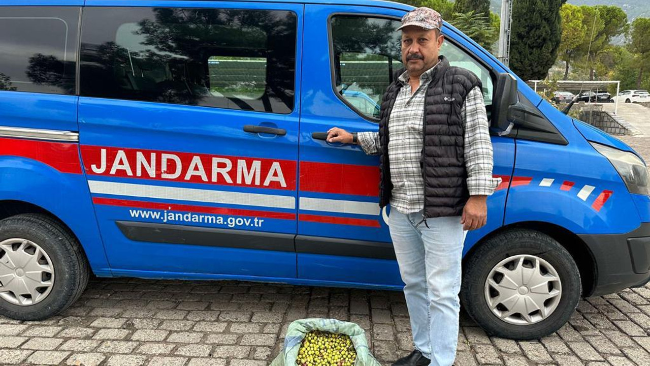 Manisa’da zeytin operasyonu: Suçüstü yakalandılar