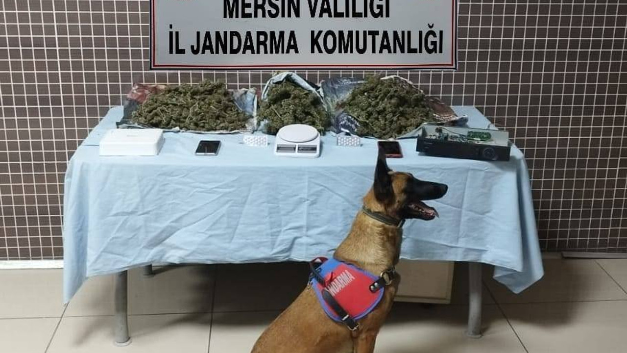 Mersin'de uyuşturucu tacirlerine geçit yok!