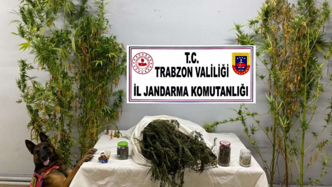 Trabzon'da uyuşturucu operasyonu: 3 gözaltı
