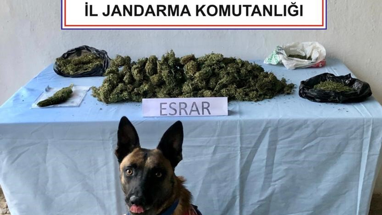 Zehir tacirleri jandarmadan kaçamadı: 3 gözaltı!