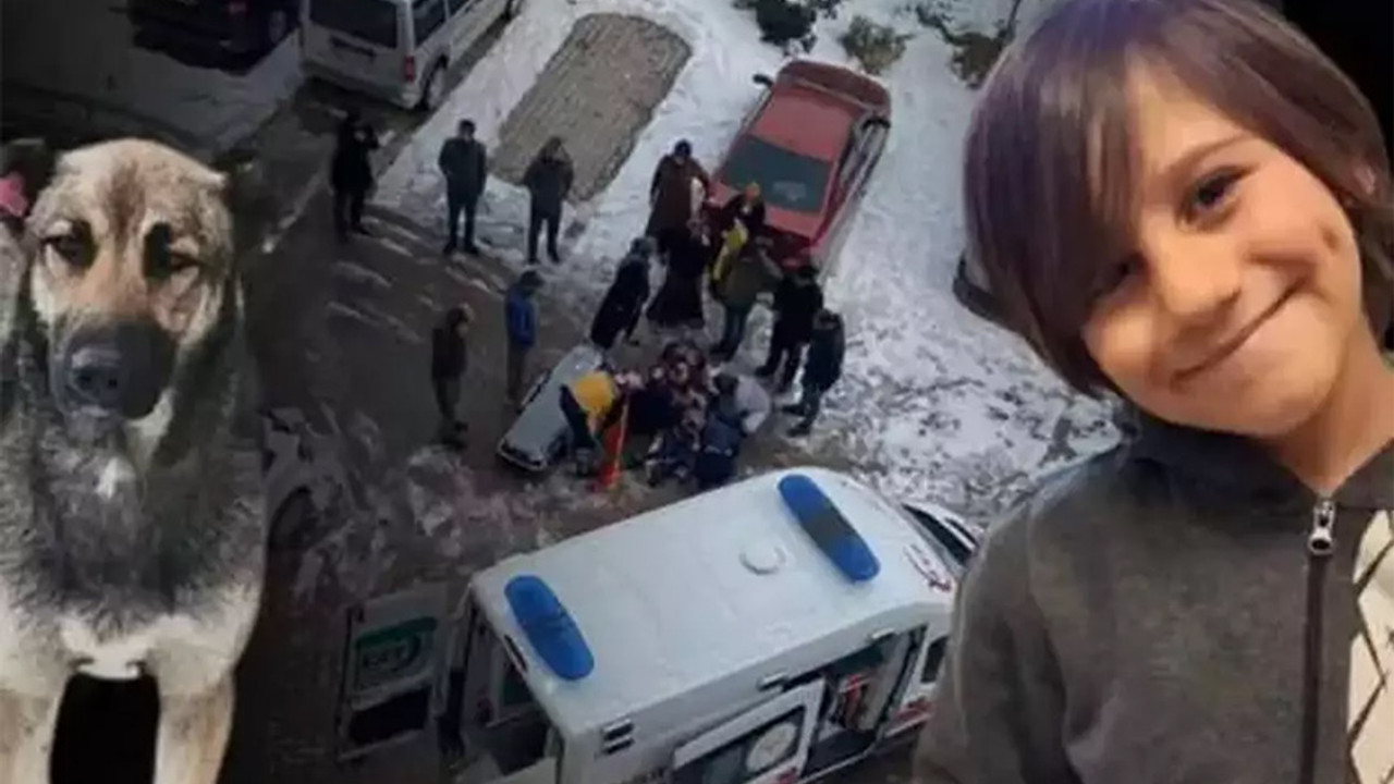 Olan 9 yaşındaki Emir Mete Durna’ya oldu
