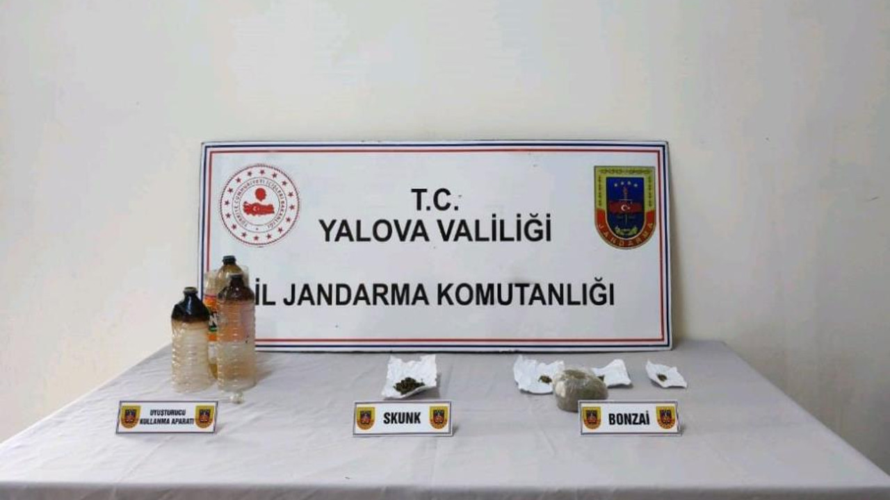 Yalova’da çadırda uyuşturucu yetiştiren zanlı tutuklandı