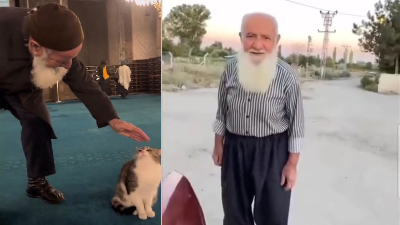 Ayasofya’da kedi seven dede bulundu