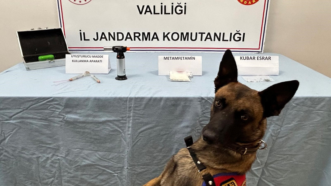 Şehirler arası zehir sevkiyatı, jandarmanın radarına takıldı