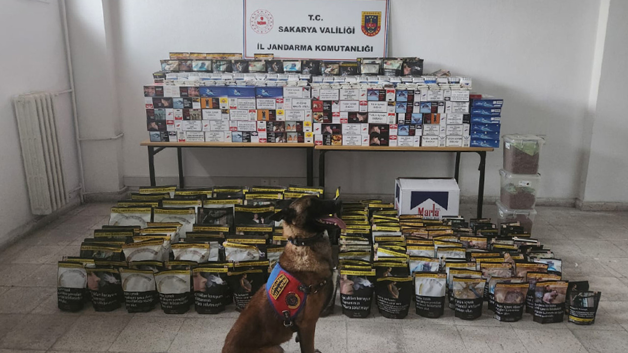 Sakarya’da kaçak tütün operasyonu! Çok sayıda makaron ele geçirildi