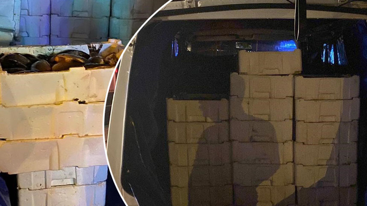 Durdurulan araçtan çıkanlar şoke etti! 16 bin TL değerinde, 900 kilogram ağırlığında