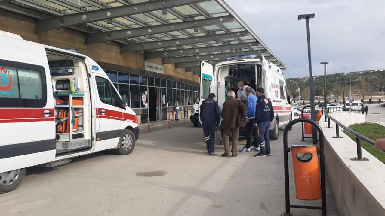 50'den fazla başıboş köpek, küçük çocuğa dehşeti yaşattı