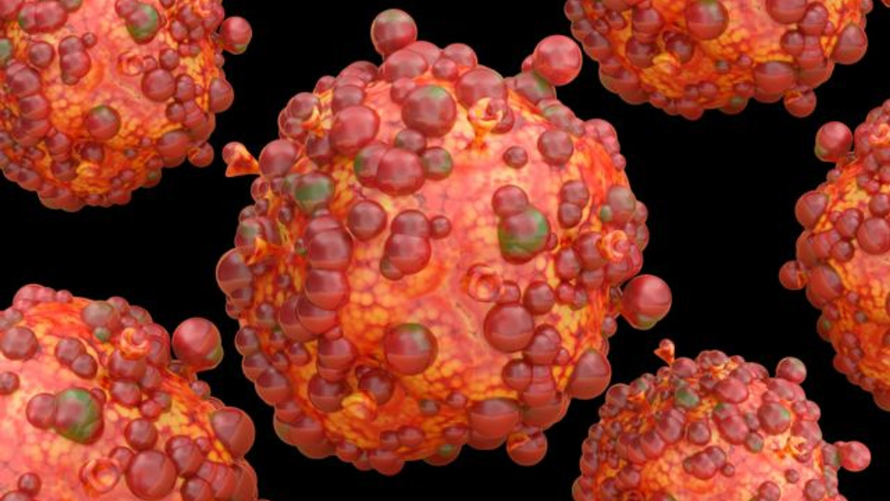 Maymun Çiçeği Virüsü Nedir, Nasıl Bulaşır? Maymun Çiçeği Virüsü (Mpox) Belirtileri Neler?