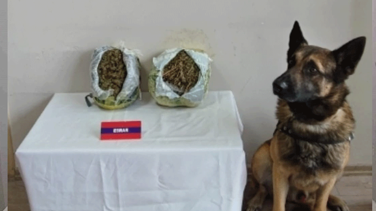 Kimse bunu beklemiyordu! Nar kasalarından 2 kilo uyuşturucu çıktı