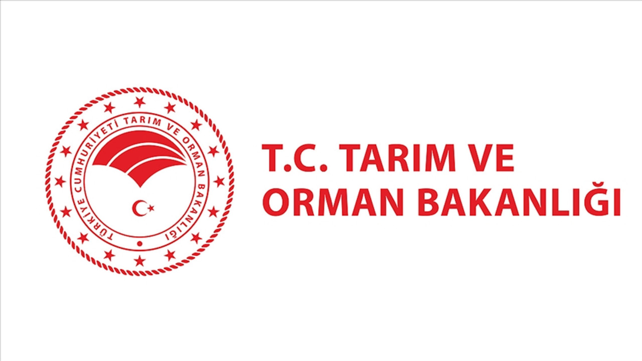 Tarım ve Orman Bakanlığı Personel Alımı Ne Zaman? 7 Bin 158 Personel Alımı