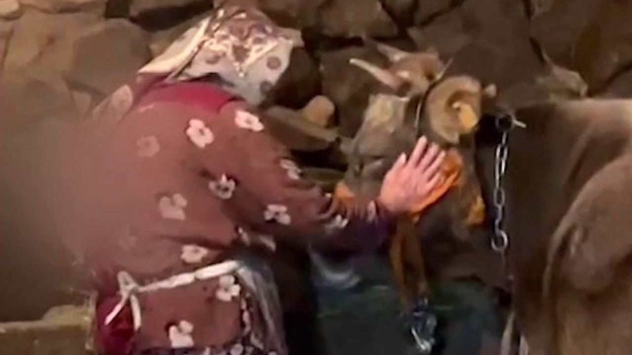 Umreye gidebilmek için ineğini satmıştı: Hayalini Eyyup Yıldız gerçekleştirdi