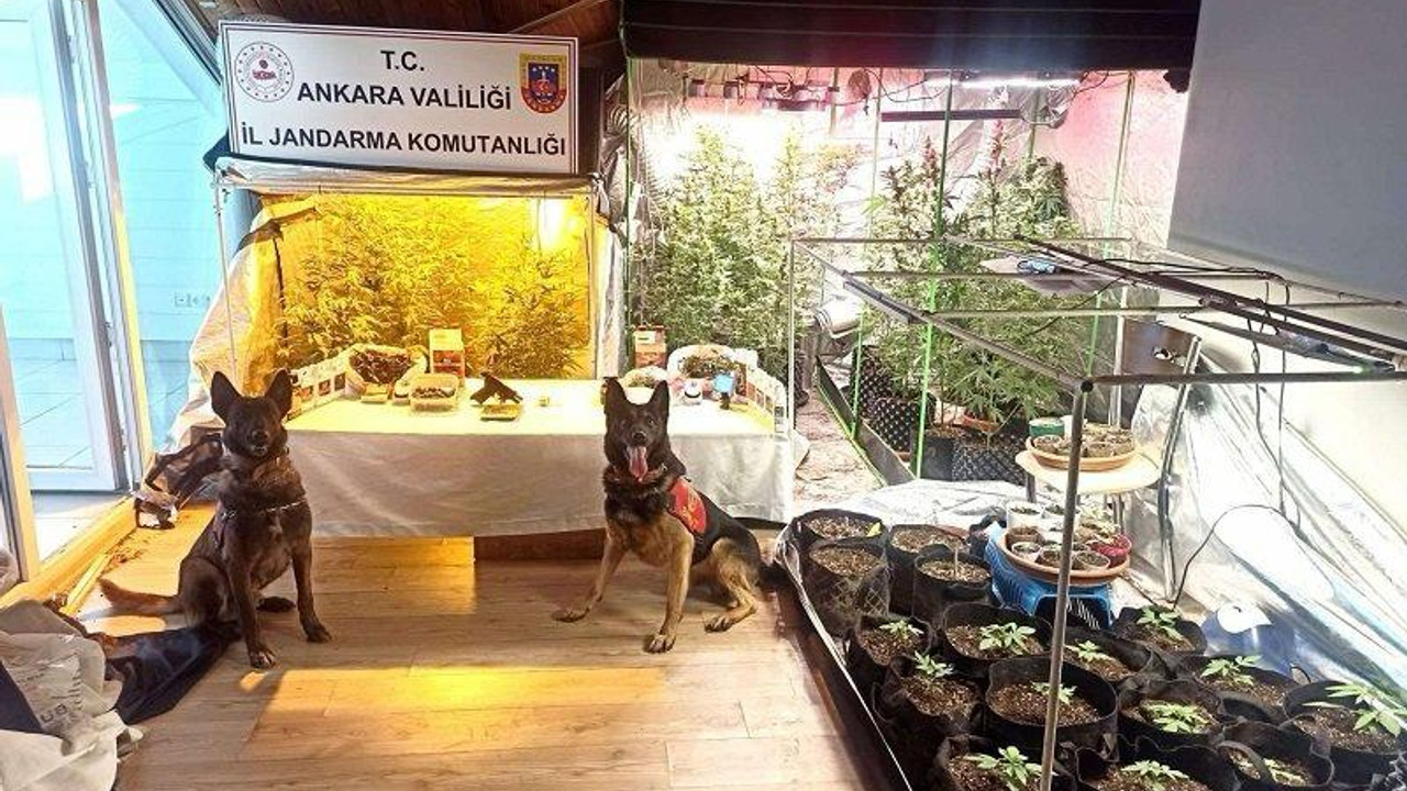 Ankara'da zehir tacirlerine büyük darbe: Çok sayıda uyuşturucu madde ve silah ele geçirildi