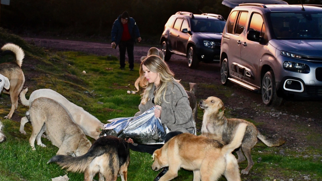 Kocaeli'de duyarlı esnaf soğuk havalarda sahipsiz hayvanları unutmuyor