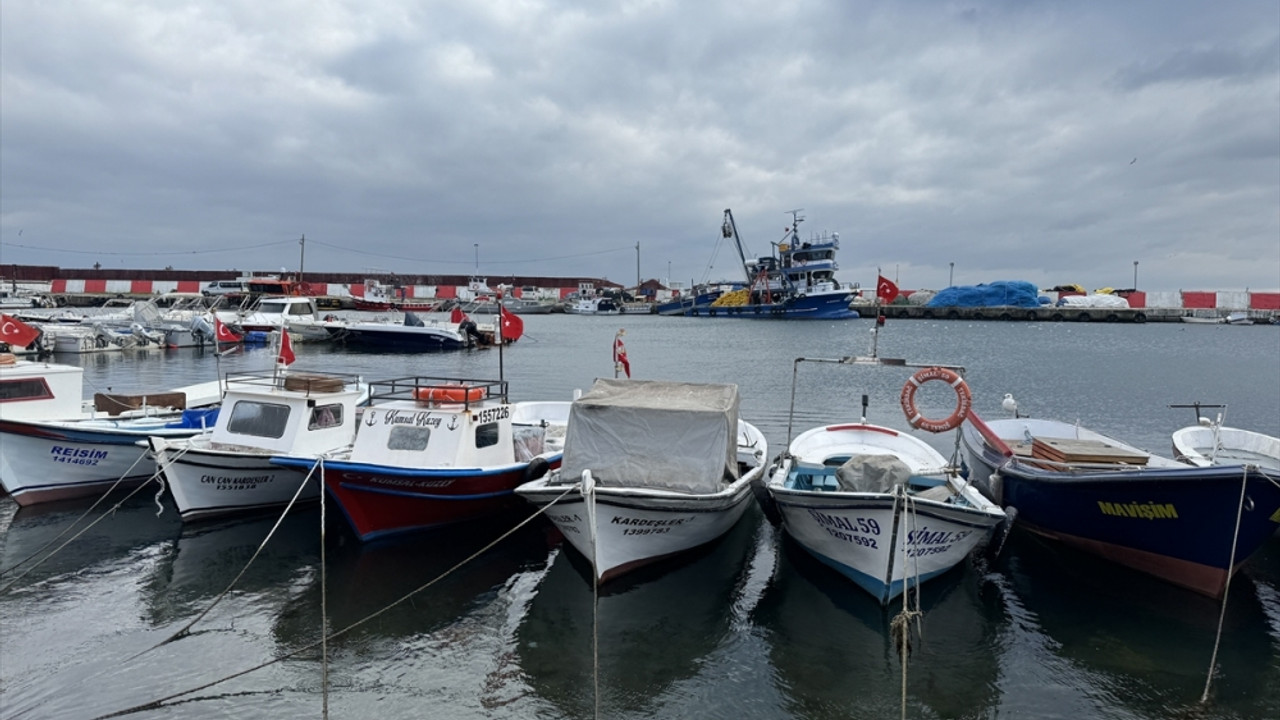Marmara'da umduğunu bulamayan Tekirdağlı balıkçılar Karadeniz'e ağ atıyor