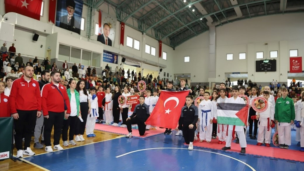 Sakarya'da "Şehit Ali Gaffar Okkan İller Arası Karate Turnuvası" düzenlendi