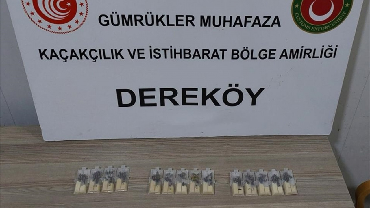 Türkiye'ye kaçak yollarla kraliçe arı getiren sanığa 5 yıla kadar hapsi istemi