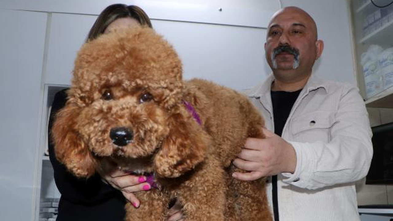 'Bambam'ın tik ve kas hastalığına botoks tedavisi