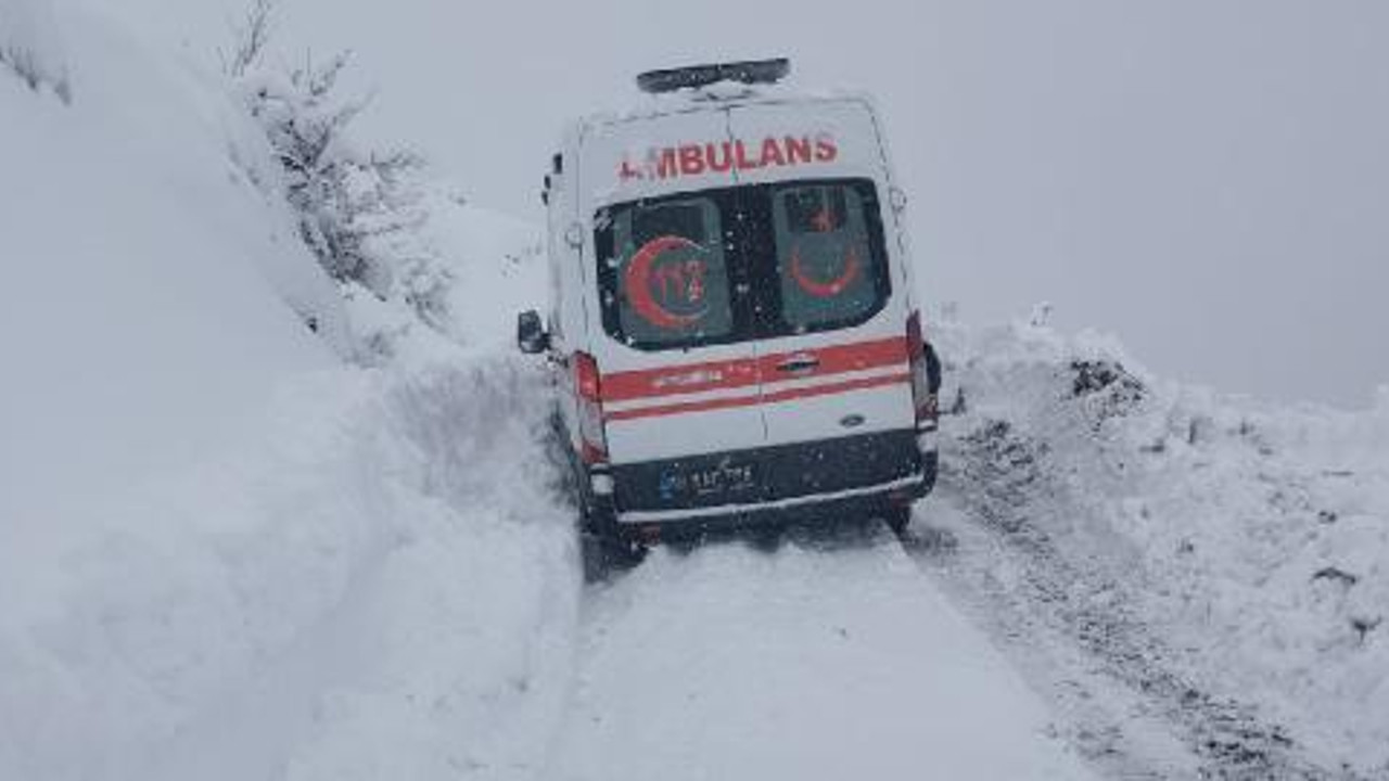 Kapalı mezra yolu açılıp, hamile kadın hastaneye ulaştırıldı