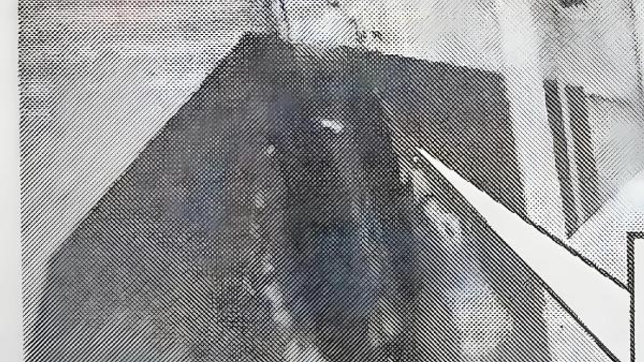 Sopayla kediye öldüren şüpheliye ev hapsi/ Fotoğraf