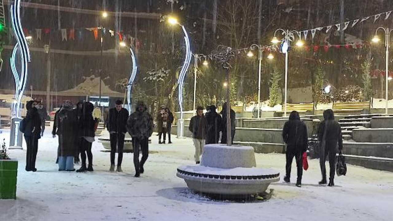 Van'da kardan kapanan 451 yerleşim yeri yolunun 148'i açıldı