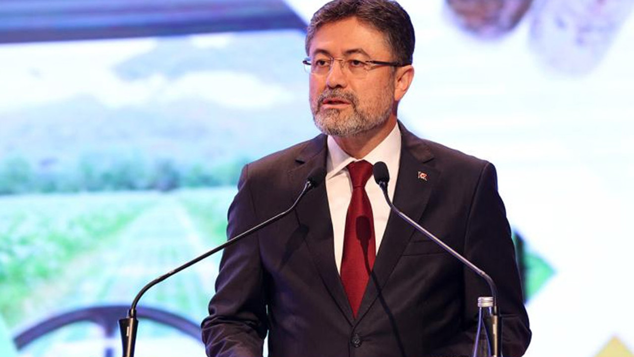 Bakan Yumaklı’dan sokak köpekleri açıklaması