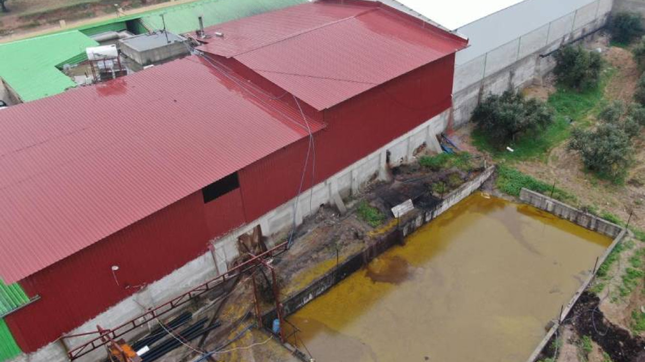 Depodan sızan 14 milyon lira değerinde tonlarca zeytinyağı araziye aktı