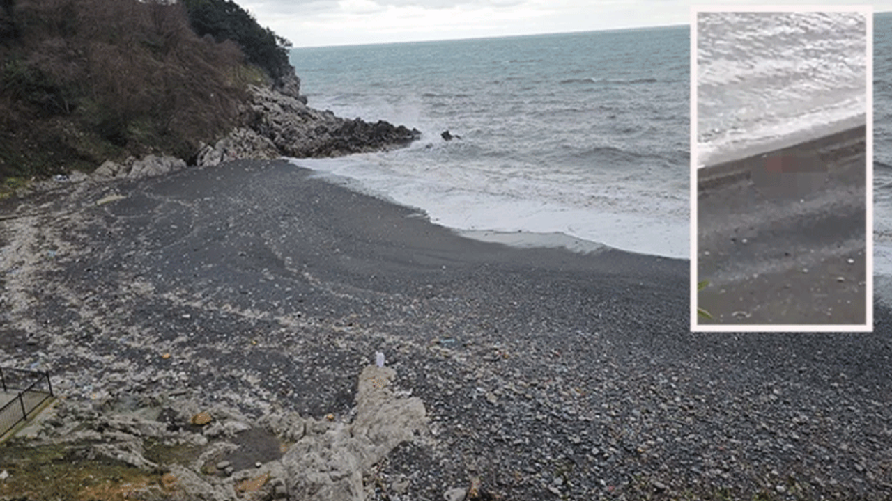 Zonguldak'ta akıllara durgunluk veren olay! Plajda cinsel ilişkiye girdiler