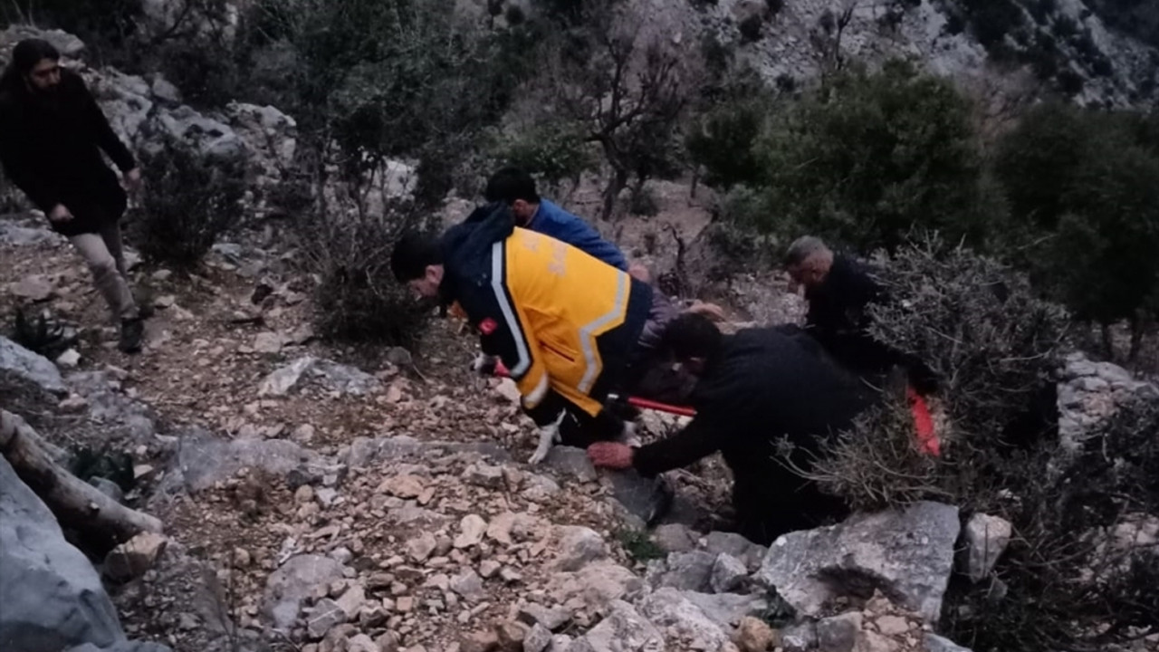 Adana'da dal kesmek için çıktığı ağaçta kalp krizi geçiren kişi öldü