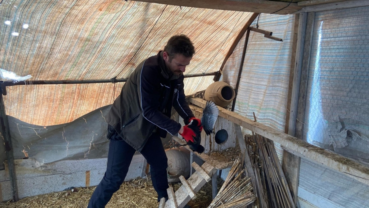 Aksaray'da nesli tükenme tehlikesi olan hayvanların ticaretini yapan kişiye para cezası