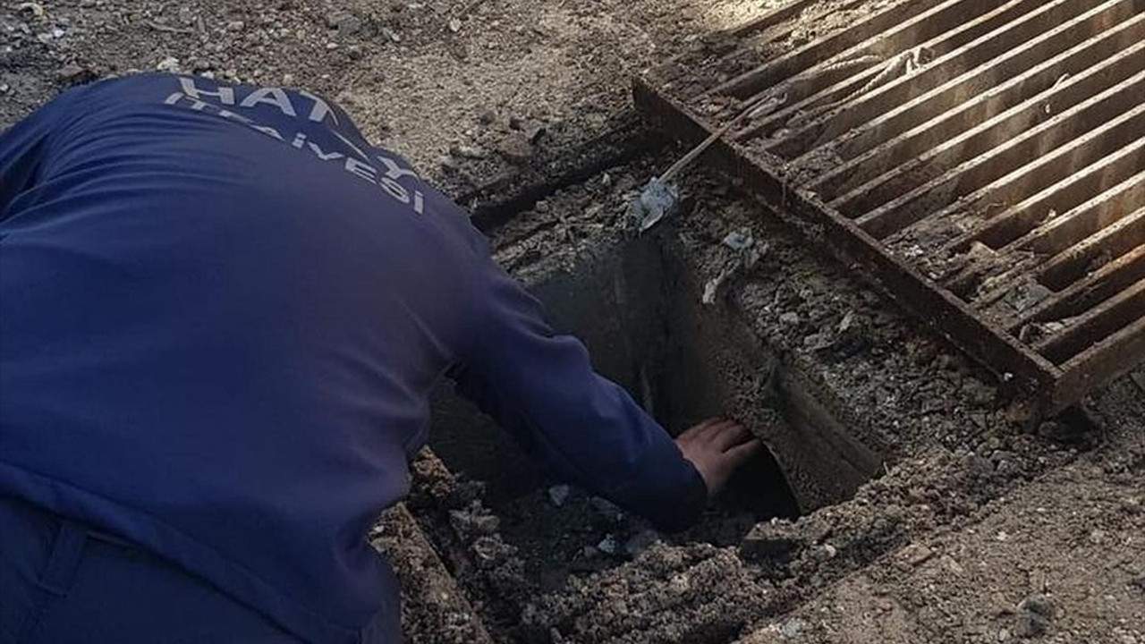 Hatay'da mazgalın altında mahsur kalan kediyi itfaiye kurtardı