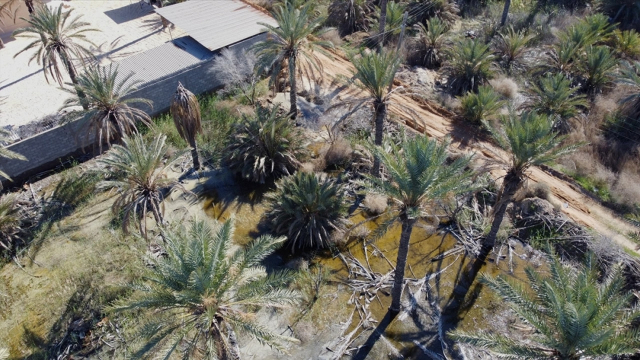 Libya'nın Zliten kentinde yükselen yer altı suları bölgede maddi hasara neden oldu