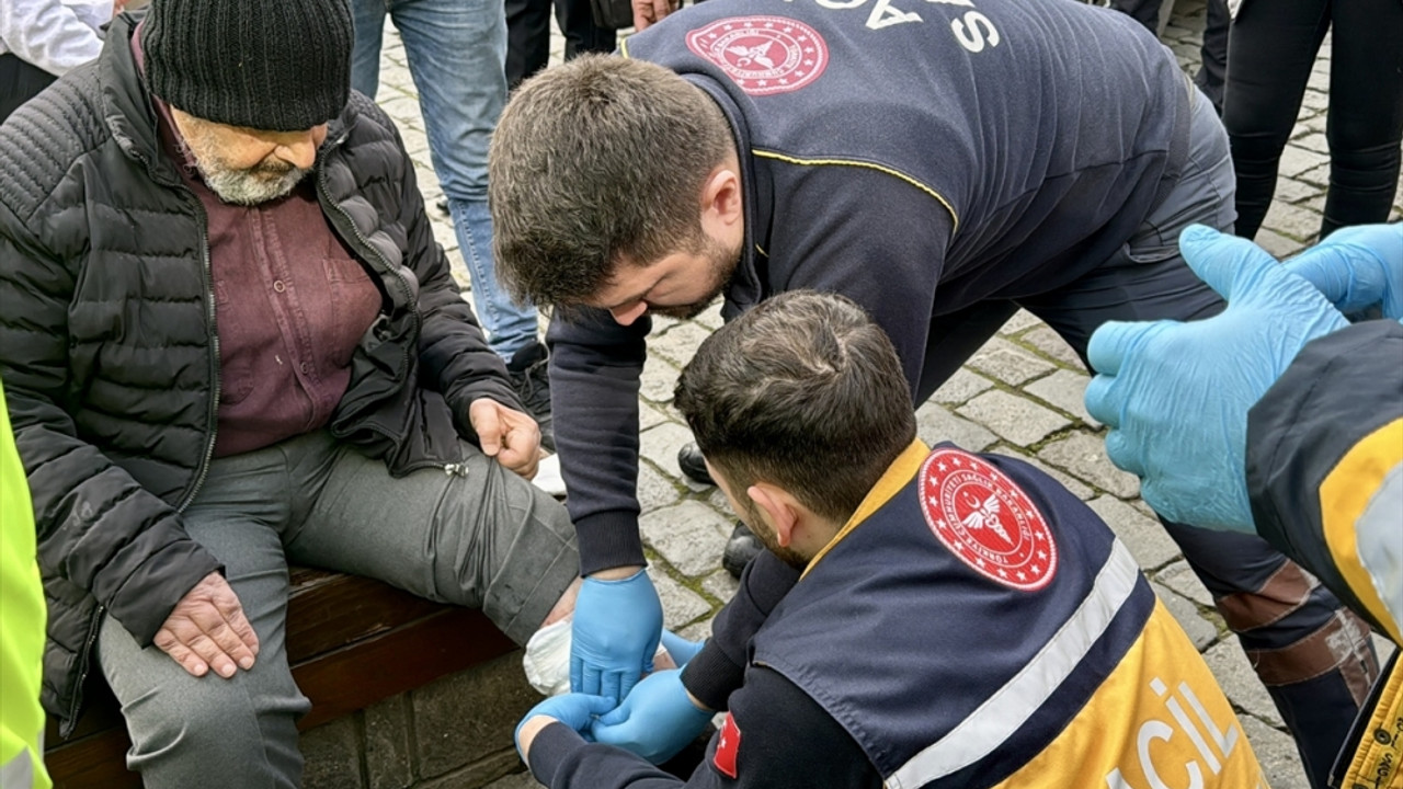 Trabzon'da sahipsiz köpeğin ısırdığı kişi yaralandı