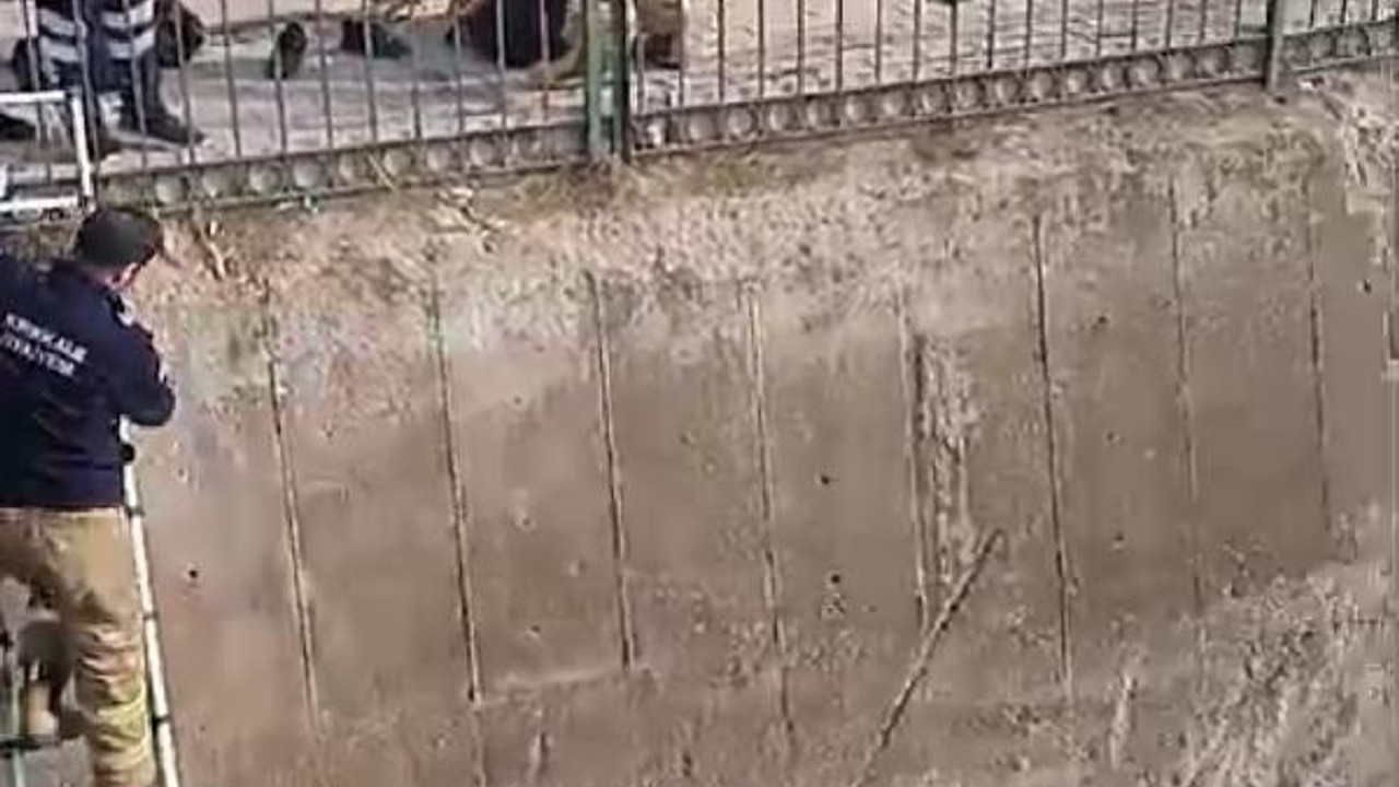 Dereye düşen motosikletin sürücüsü yaralandı