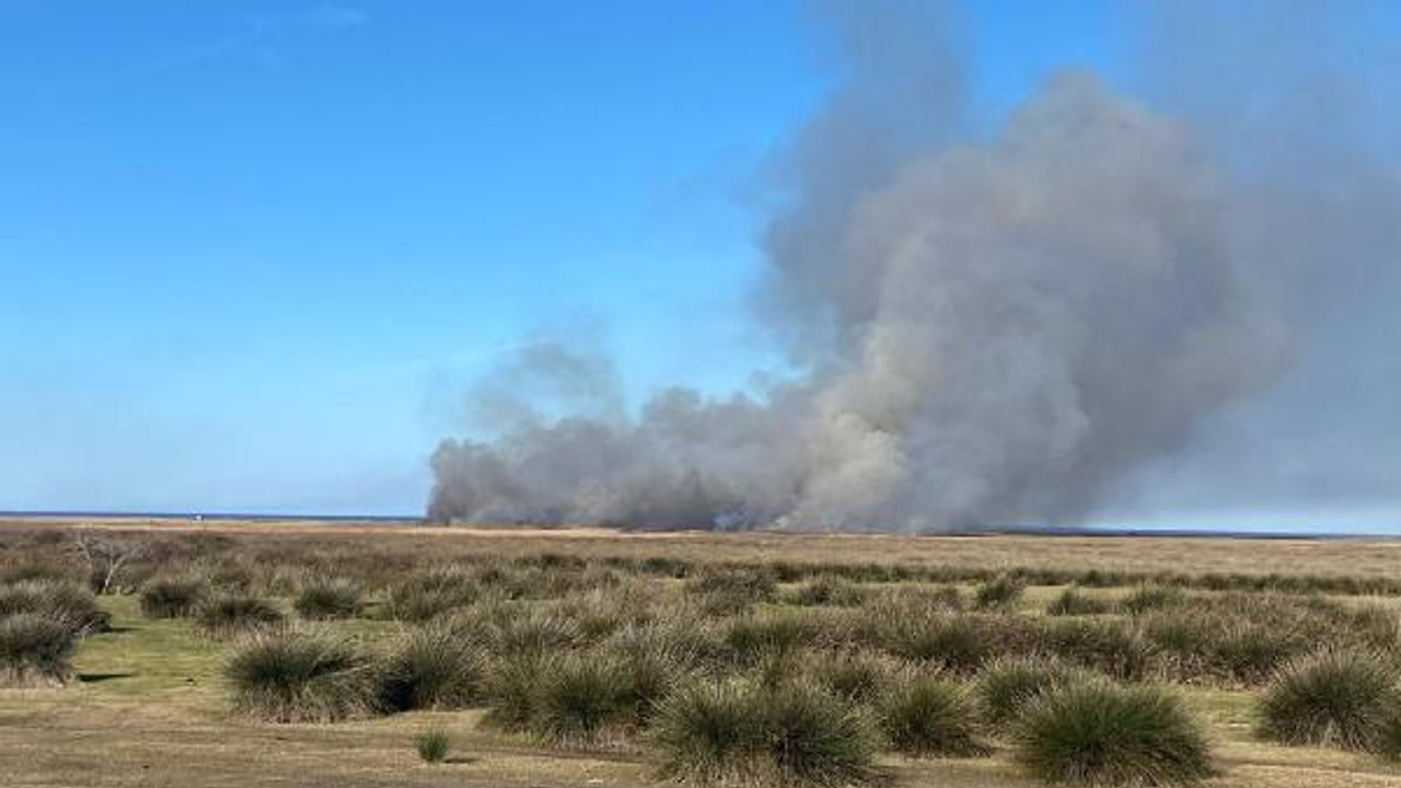 Kızılırmak Kuş Cenneti'nde çıkan yangın, kontrol altına alındı