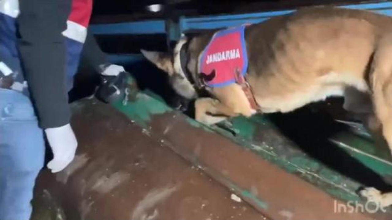 'Narkogüç-49' operasyonlarında 214 uyuşturucu satıcısı yakalandı