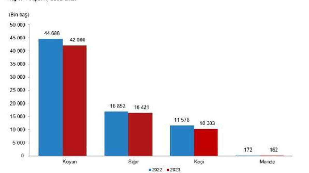 TÜİK: Büyükbaş ve küçükbaş sayısı 2023'te azaldı