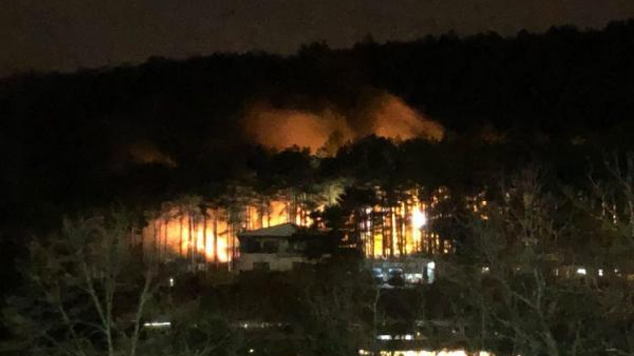 Uludağ eteklerinde çıkan orman yangını söndürüldü