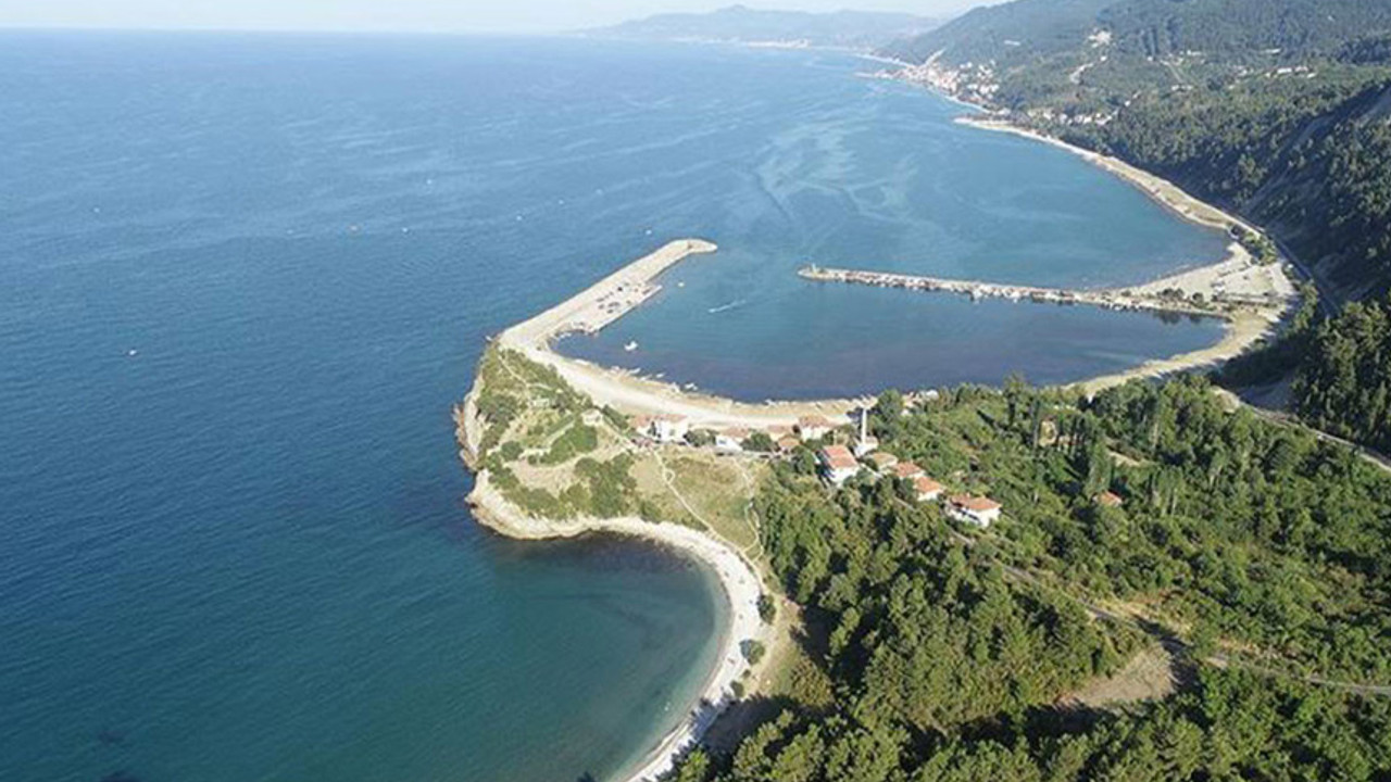 Denizlerde büyük tehlike! Uzmanlar uyardı: Türkiye'nin bu belaya hazır olması gerekiyor