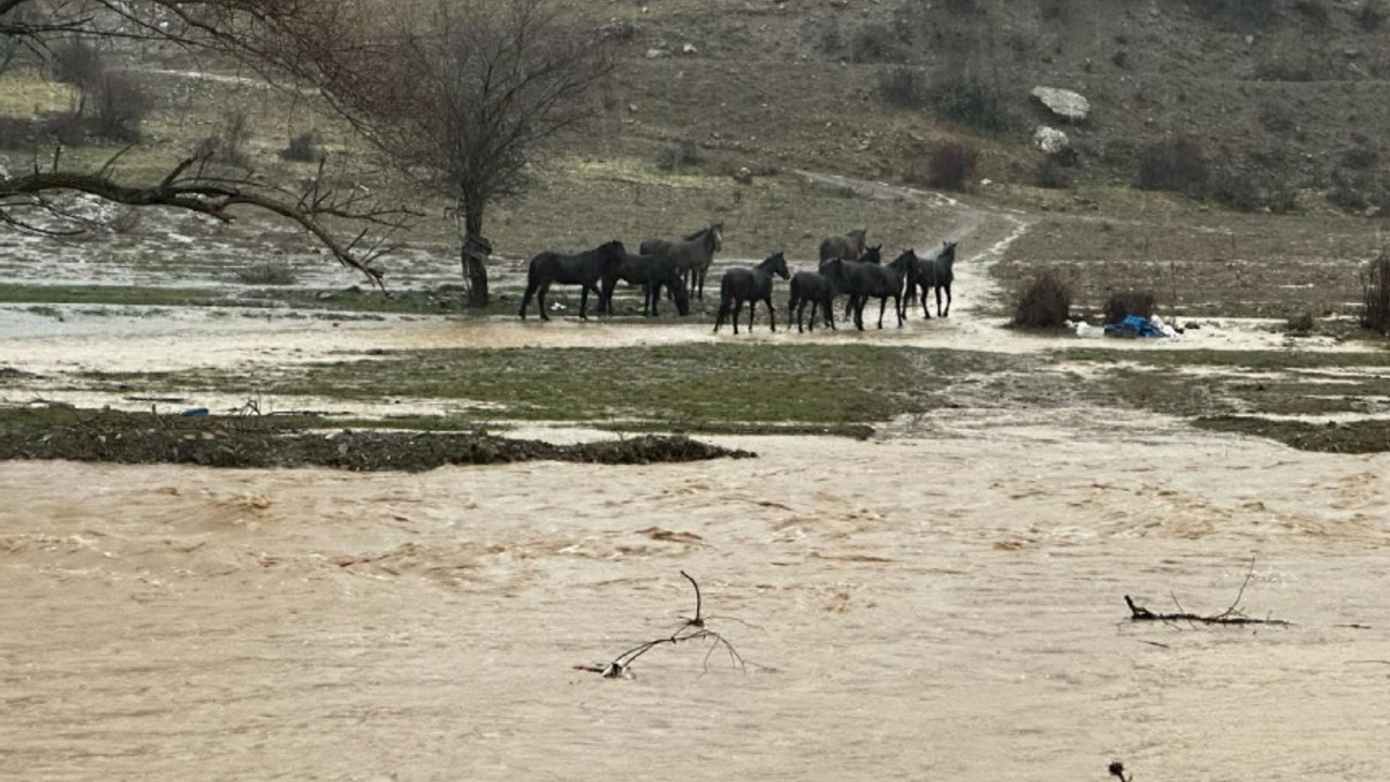 Isparta'da sağanak: Tarım arazilerini su bastı