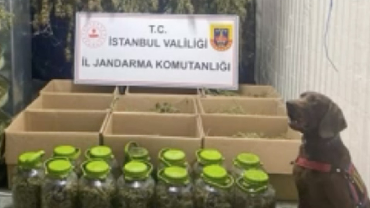 JASAT ve Jandarmadan İstanbul'da ortak operasyon! Zehir tacirleri kıskıvrak yakalandı