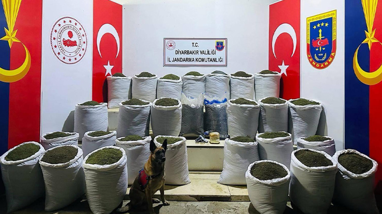 Jandarmadan Lice'de şok operasyon: Çok miktarda esrar ele geçirildi