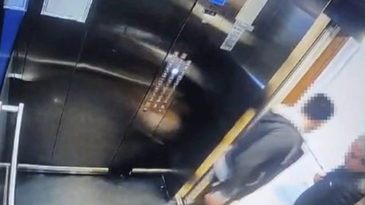 Kedi Eros'u vahşice öldürmüştü! İbrahim Keloğlan hakkındaki karar kaldırıldı