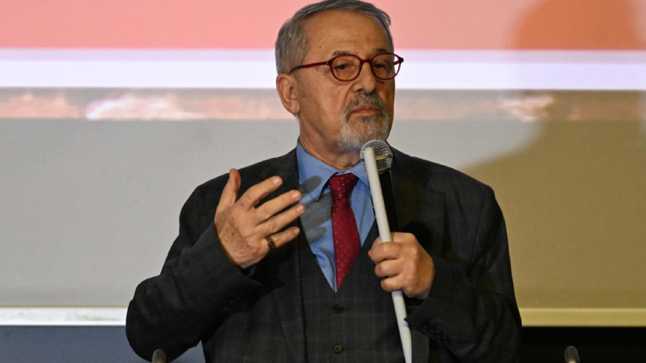 Prof. Dr. Naci Görür: Kuzey Anadolu Fay Hattı, depremleri doğudan batıya doğru taşımaktadır