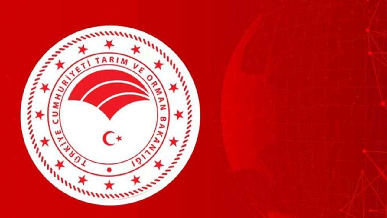 Tarım ve Orman Bakanlığı ifşa listesi: Tarım ve Orman Bakanlığı taklit, tağşiş ve sağlığı tehlikeye düşürecek gıdalar